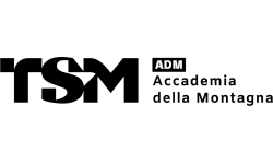 TSM 