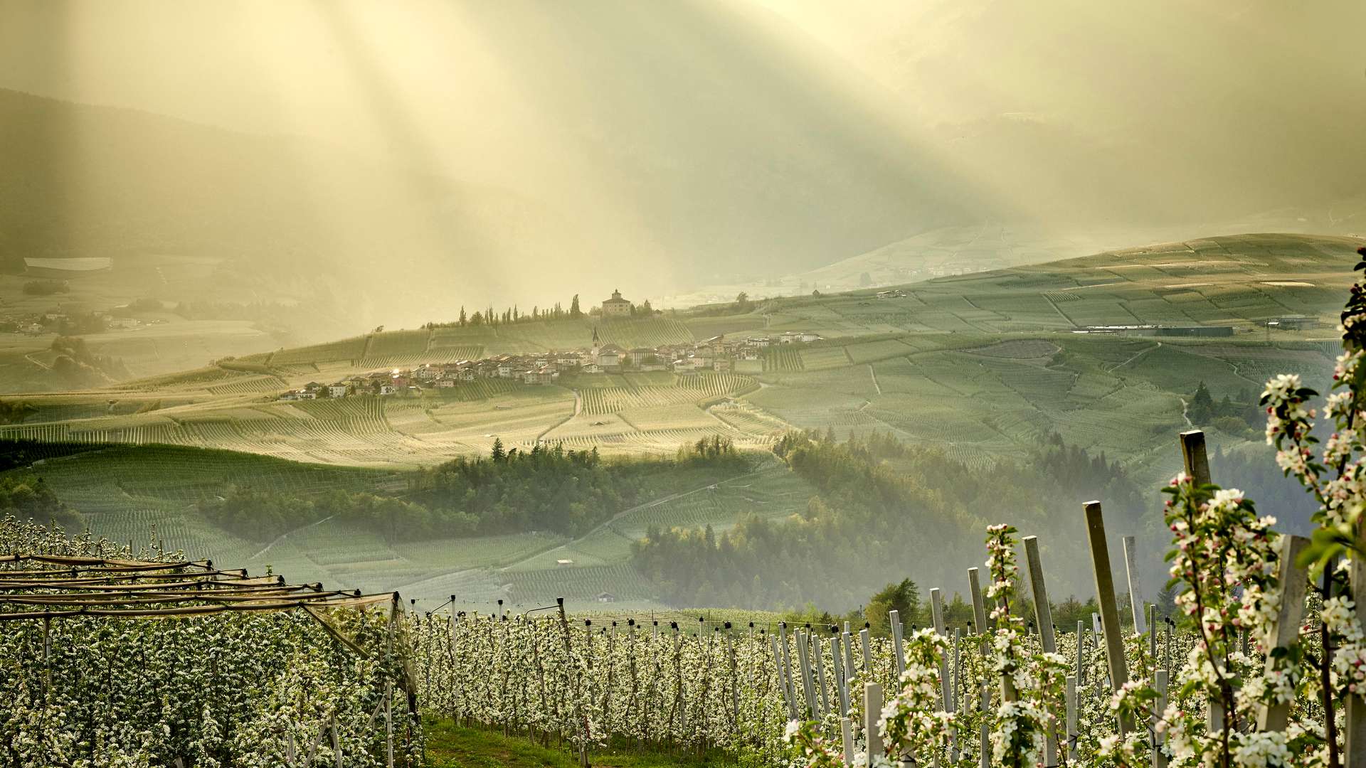 Valle dell'Adige - Sardagna - fototeca Trentino Sviluppo spa - foto di Christian Kerber