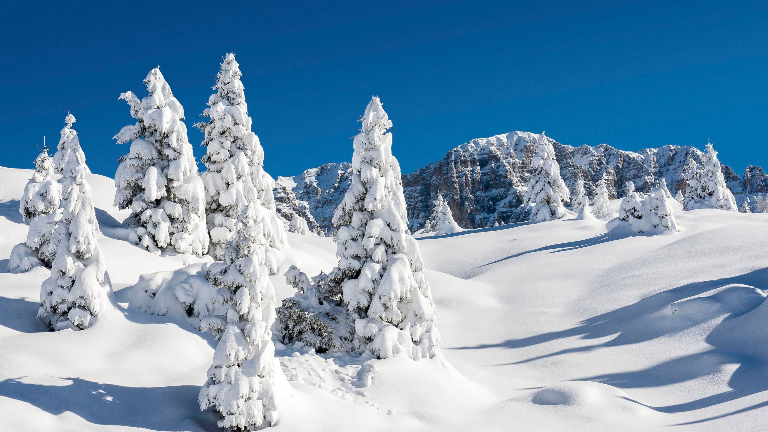 Madonna di Campiglio Brenta - Fototeca Trentino Sviluppo spa - foto di Paolo Luconi Bisti