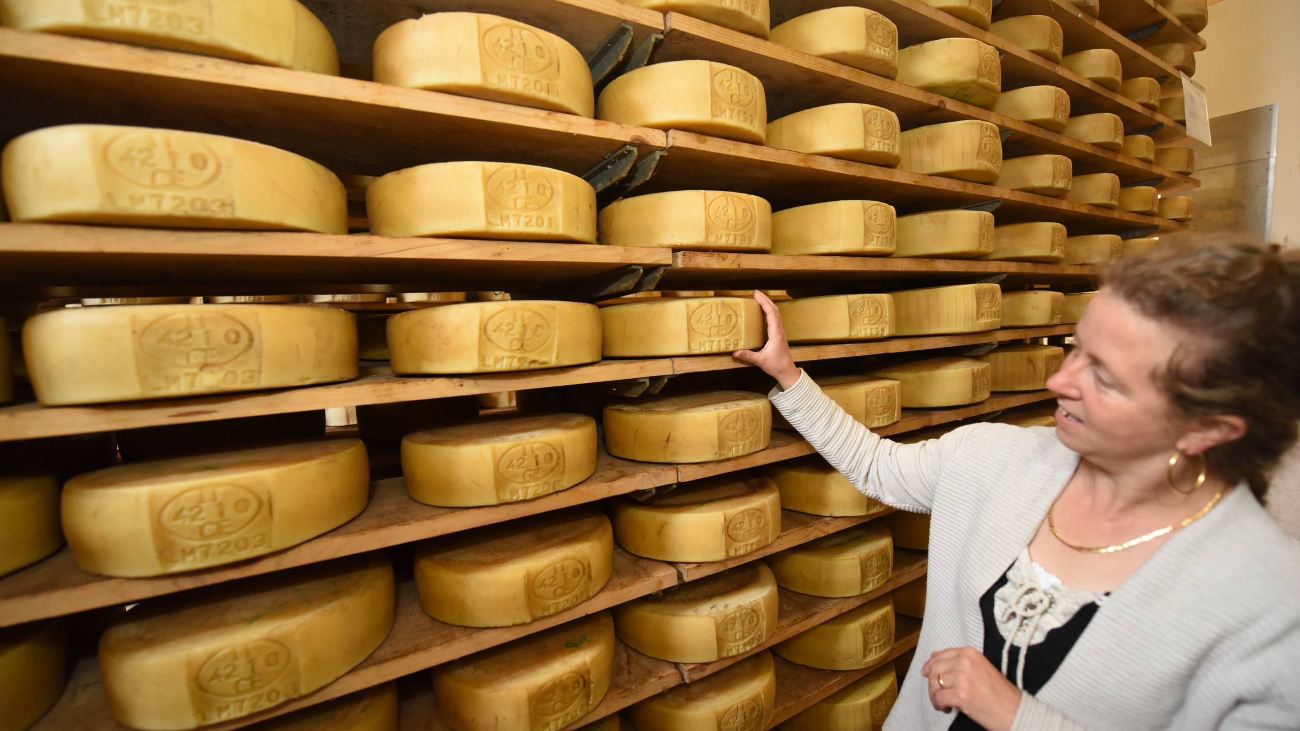 Alpe Cimbra - Fototeca Apt Alpe Cimbra - foto del Caseificio Vezzena