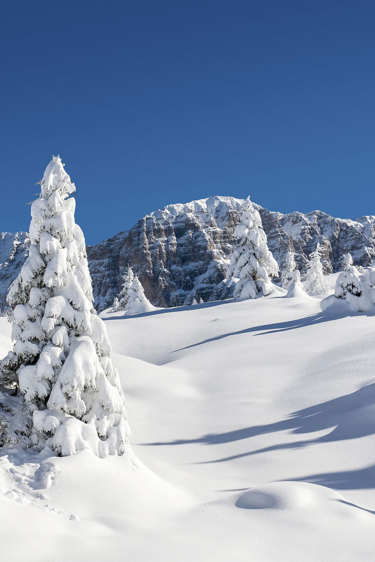 Madonna di Campiglio Brenta - Fototeca Trentino Sviluppo spa - foto di Paolo Luconi Bisti
