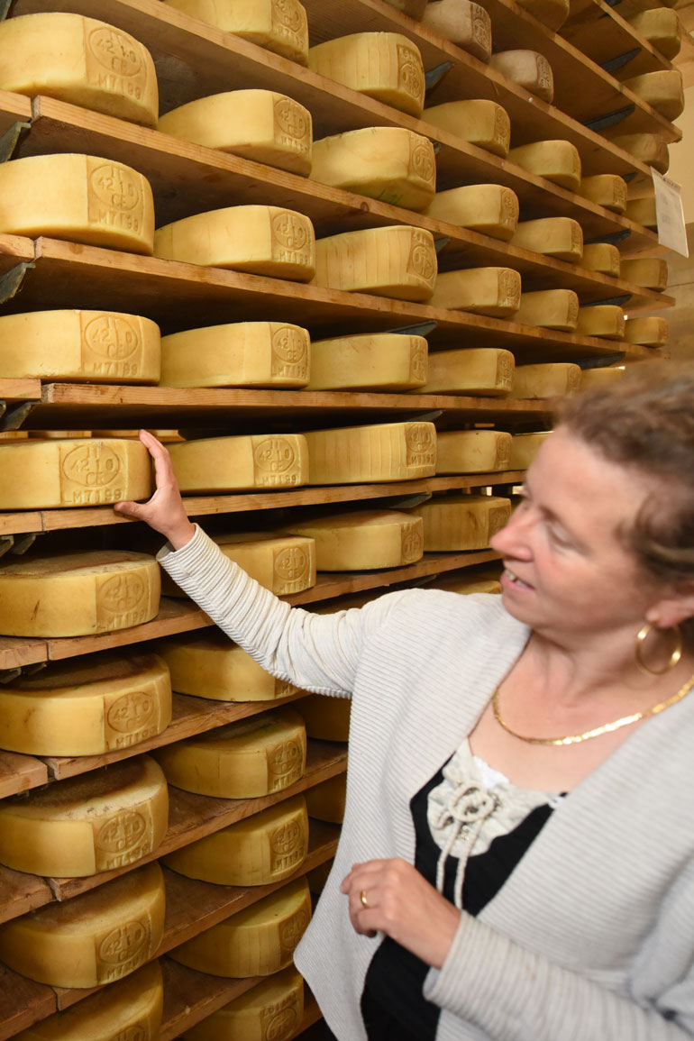 Alpe Cimbra - Fototeca Apt Alpe Cimbra - foto del Caseificio Vezzena