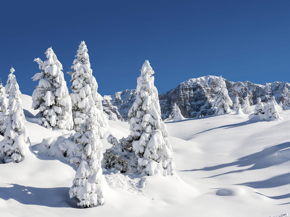 Madonna di Campiglio Brenta - Fototeca Trentino Sviluppo spa - foto di Paolo Luconi Bisti