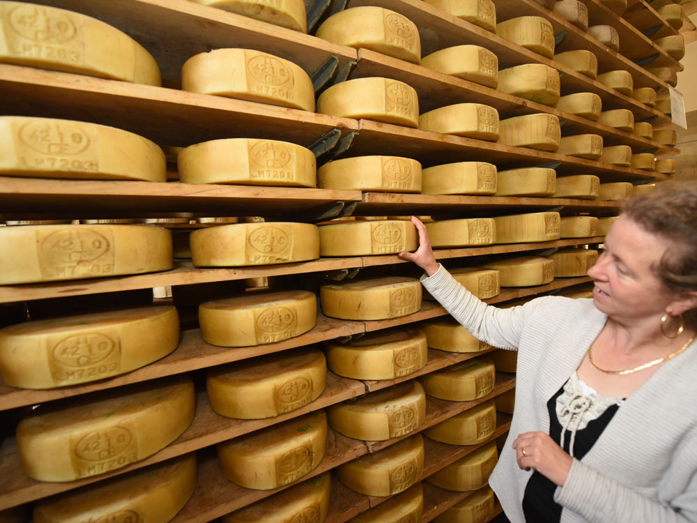 Alpe Cimbra - Fototeca Apt Alpe Cimbra - foto del Caseificio Vezzena