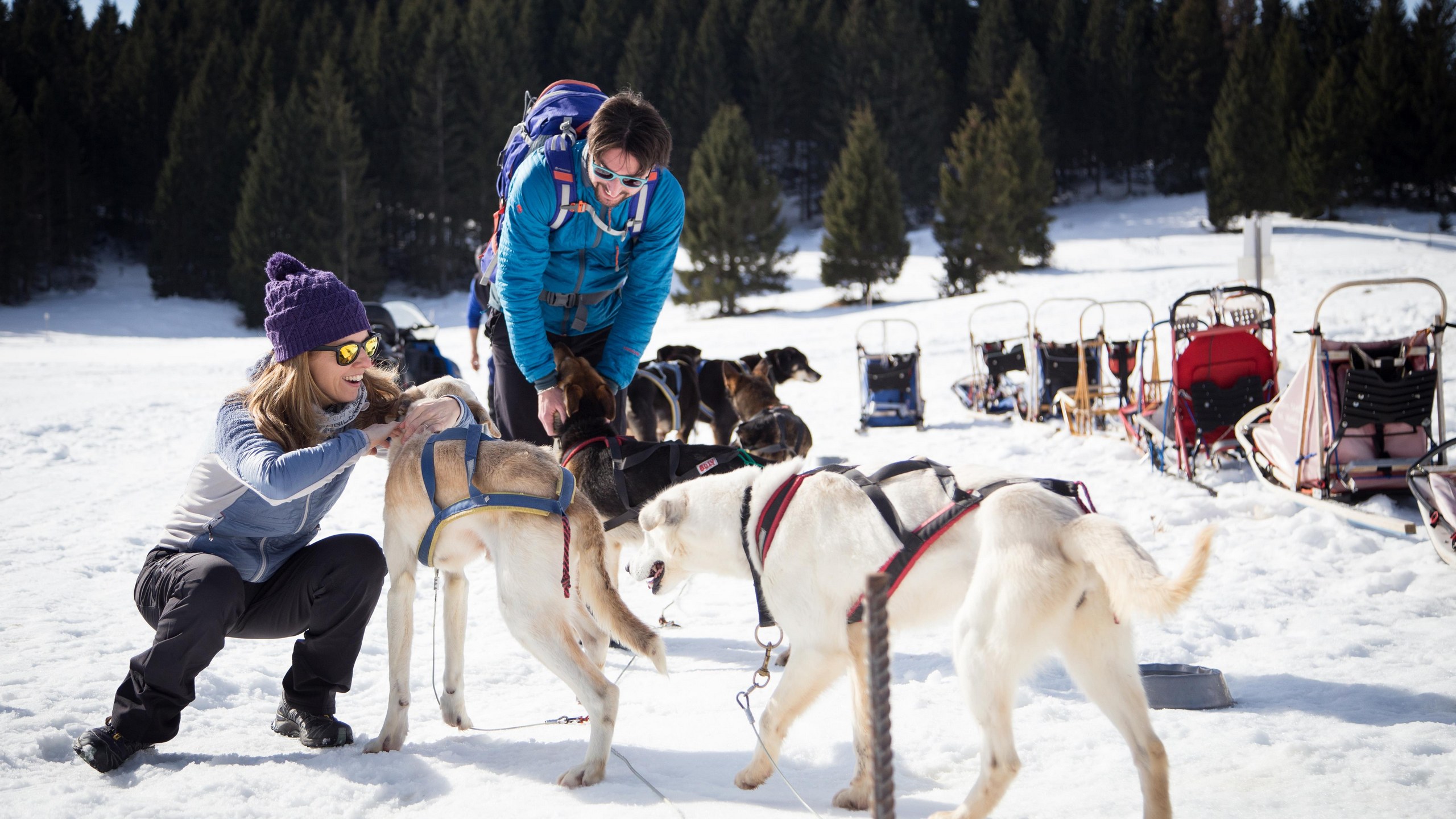 Val di Non - Fototeca Trentino Sviluppo spa - foto di Carlo Baroni