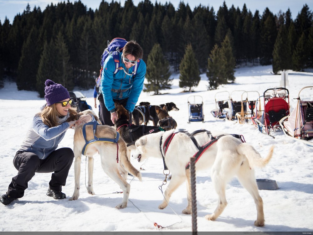 Val di Non - Fototeca Trentino Sviluppo spa - foto di Carlo Baroni
