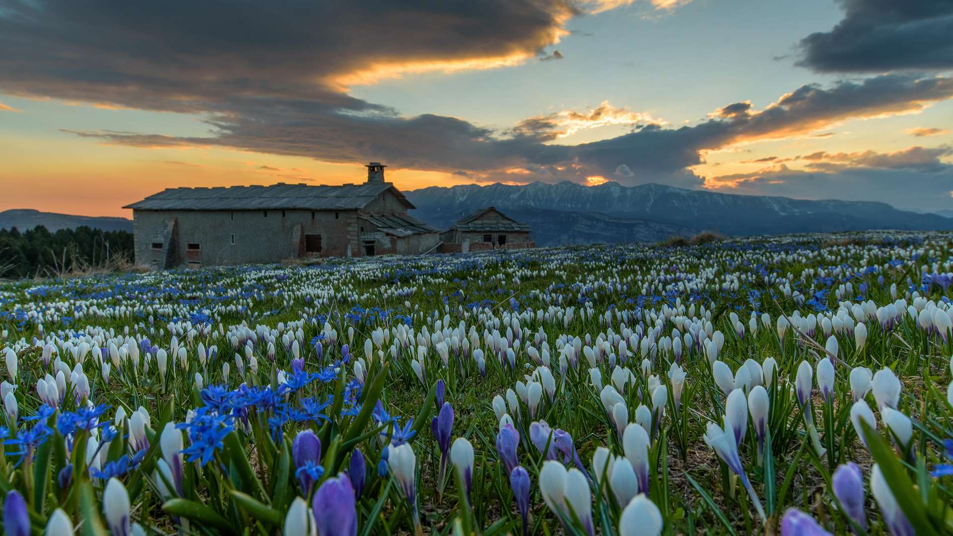 Val di Sole - Dimaro - fototeca Trentino Sviluppo spa - foto di Ronny Kiaulehn